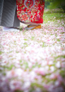 ☆桜のシーズンと新緑のシーズンでの撮影をご検討の皆様☆