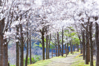 3月のご予約が解禁しました!