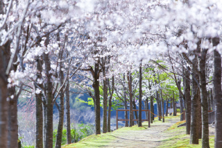 サクラヒルズ創寫舘の良いところ!