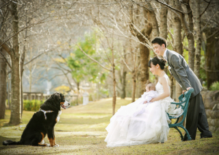 年内の撮影日空き状況についてです！