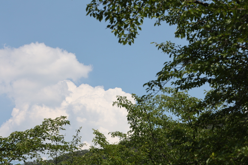 梅雨の季節です
