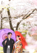 3月・4月のご予約空き状況について