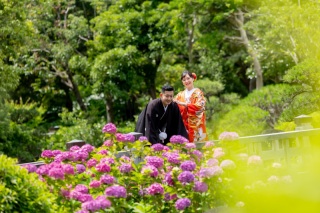 新緑も良いけど、6月の紫陽花も素敵❤