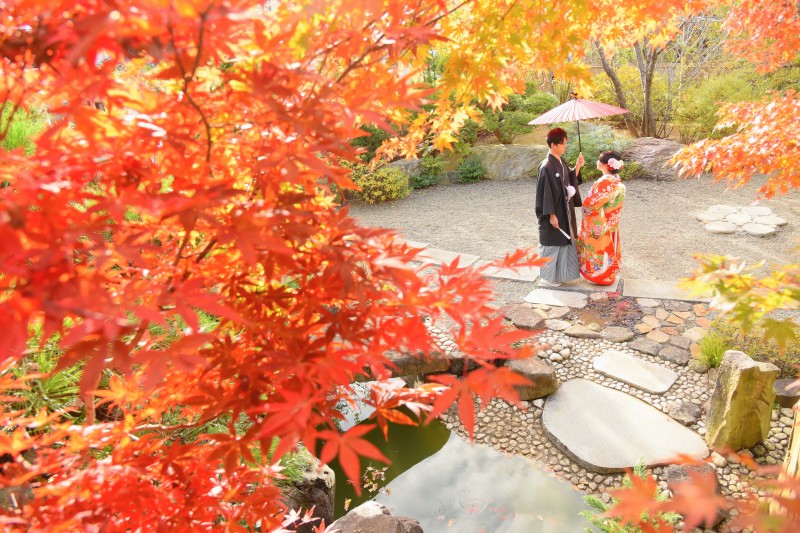 まもなく紅葉のシーズンに突入致します!!