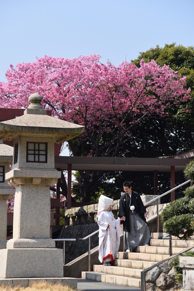 3月ご予約空き状況♪