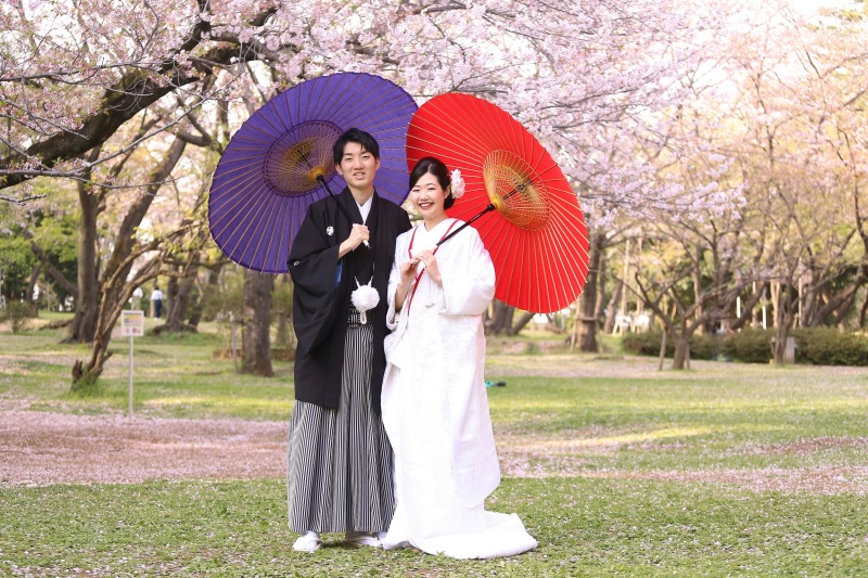 【護国神社】本日の桜の様子❀