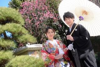 梅が咲きました❀お写真ＵＰします♪