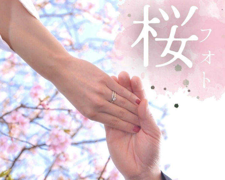 《桜フォト》桜で撮れる可愛い写真紹介♡