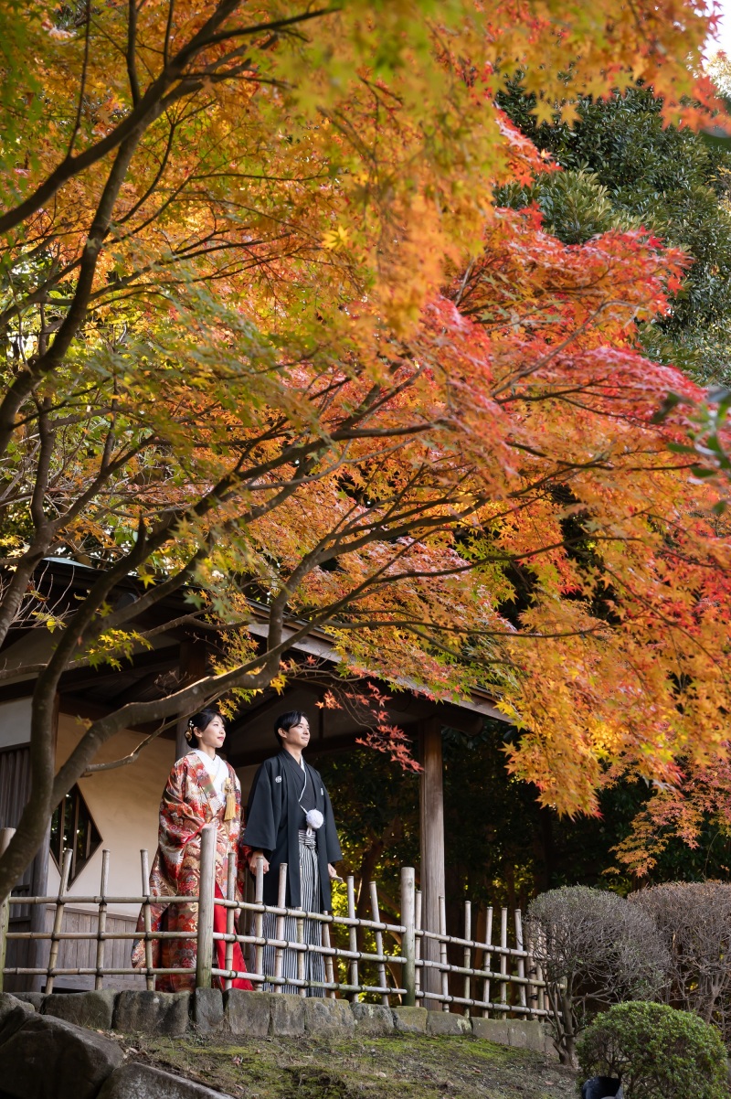 見浜園の紅葉紹介