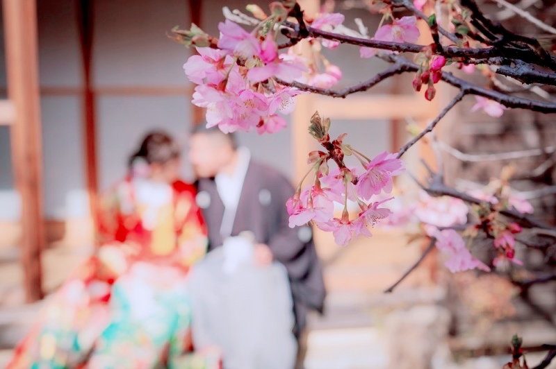 《春到来♡》梅と桜のピンクショット♥