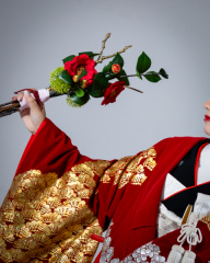 色打掛×黒引き振袖