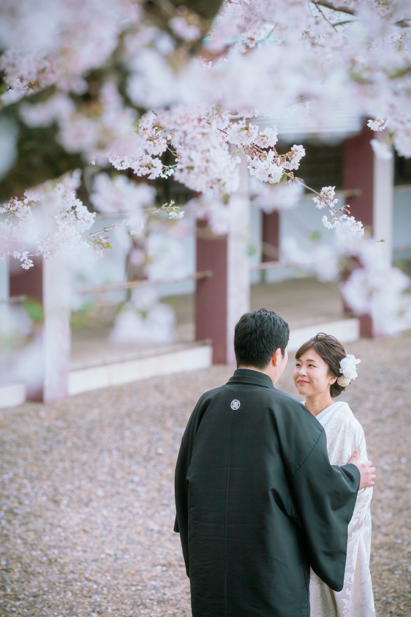 3/28の桜の様子です❀