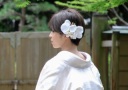 和装ヘアをご紹介♡