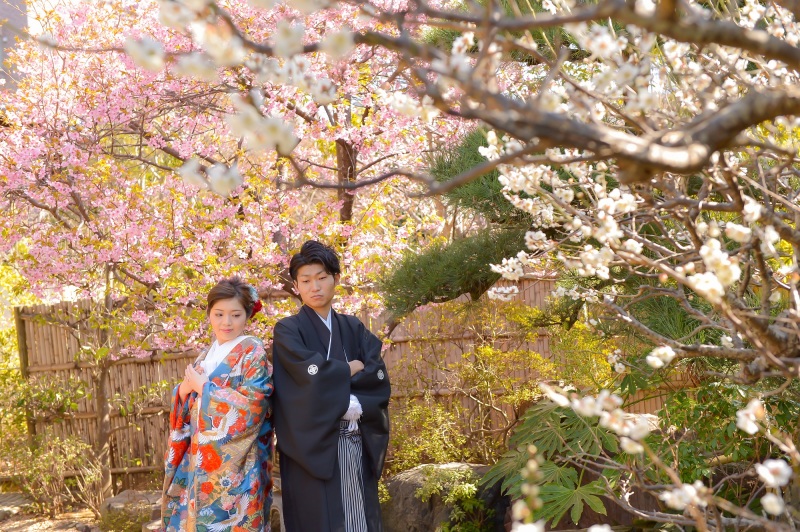 河津桜の様子です❀