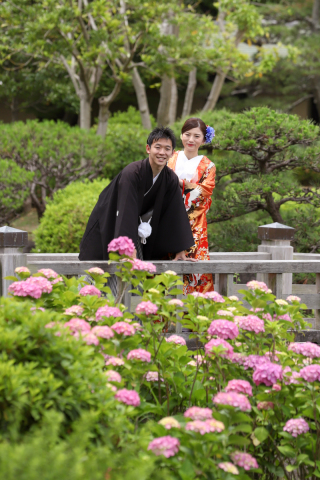 【見浜園】紫陽花が咲き始めました❀