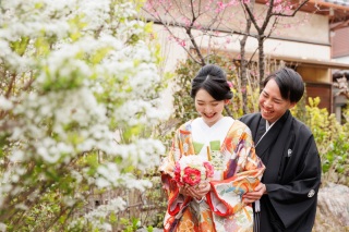 《四季亭で撮れる》ユキヤナギが咲いています✿