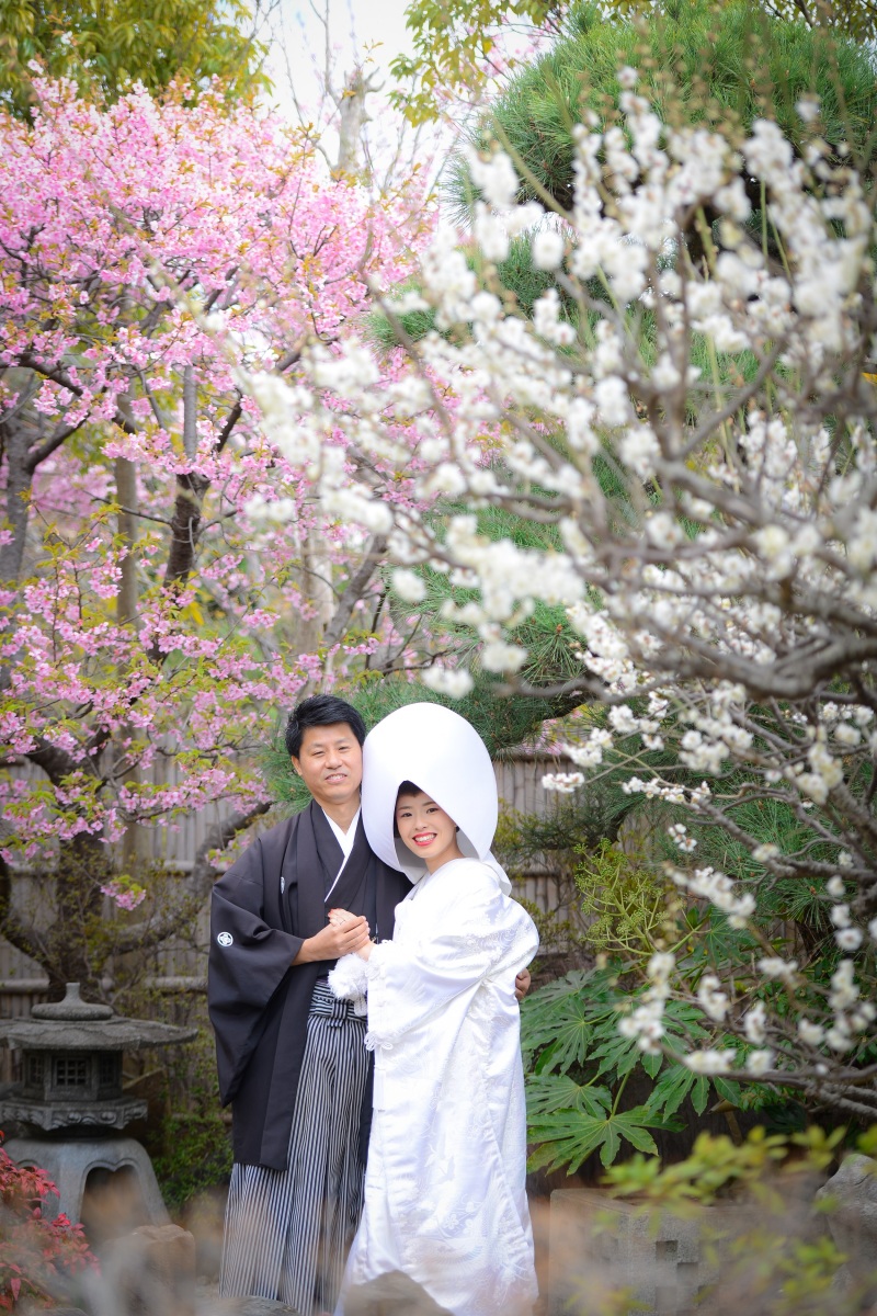 2月は梅と河津桜のシーズン✿