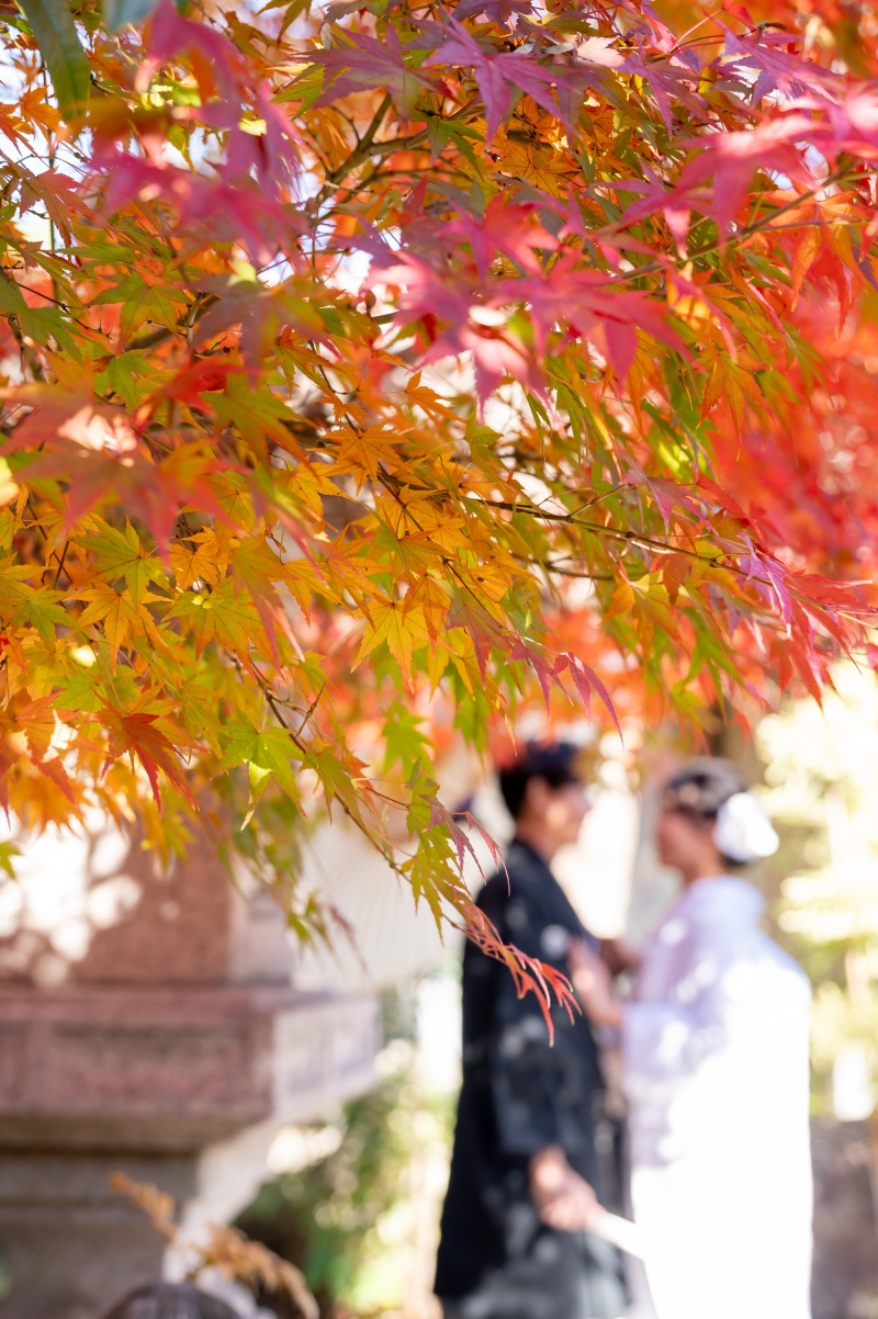 四季亭の紅葉写真紹介