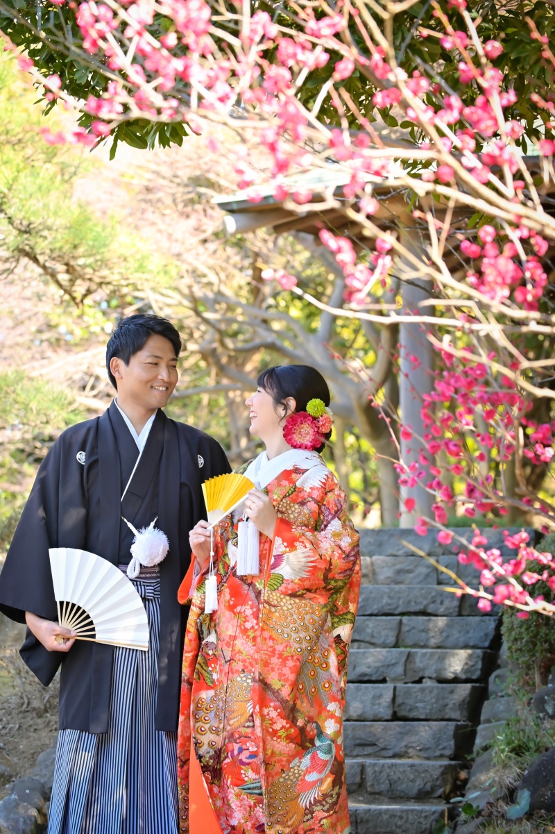 見浜園の梅の開花情報