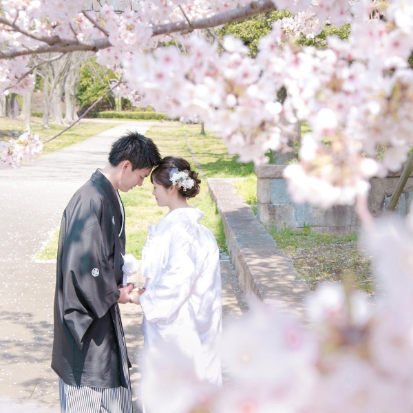 《桜シーズン予約受付中》3月下旬の空き状況✨