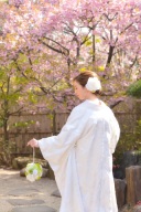 【通常の桜シーズンよりも早い！】早咲きの桜と撮れる場所をご紹介♪