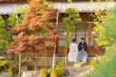 昨日の四季亭の様子です♪