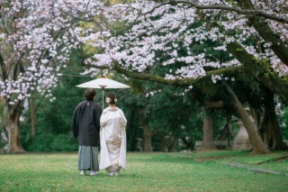 【護国神社】ソメイヨシノが咲いています❀