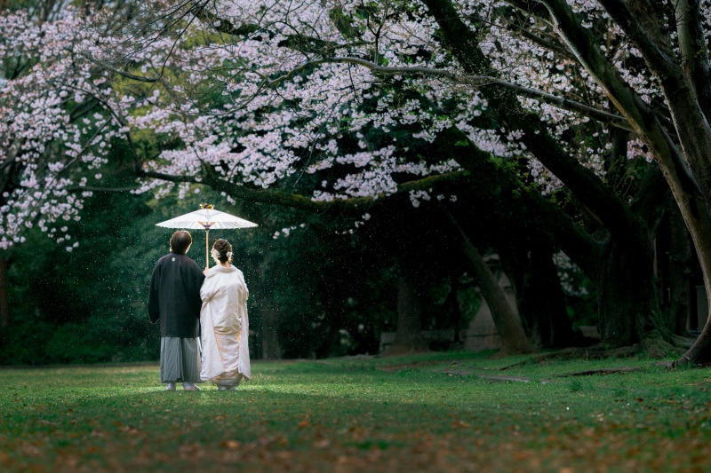 雨の日フォト☂