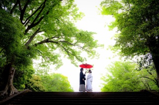 新緑のご予約受付中♪