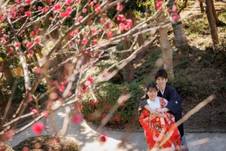 少しずつ咲く準備が始まっています✿