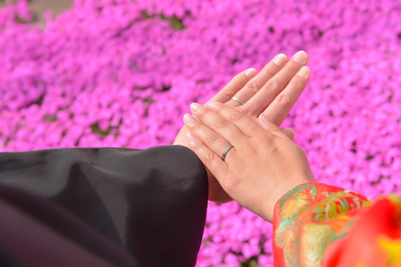 【見浜園】芝桜が満開❀！！