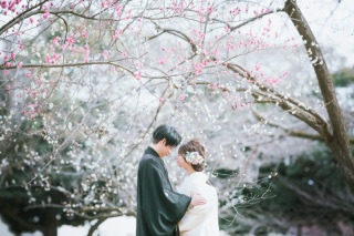 昨年の梅の写真をご紹介★！