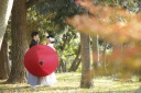 11月下旬の予約空き状況です♪
