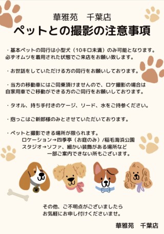 ワンちゃん撮影♡