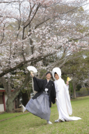 ソメイヨシノが咲き始めました