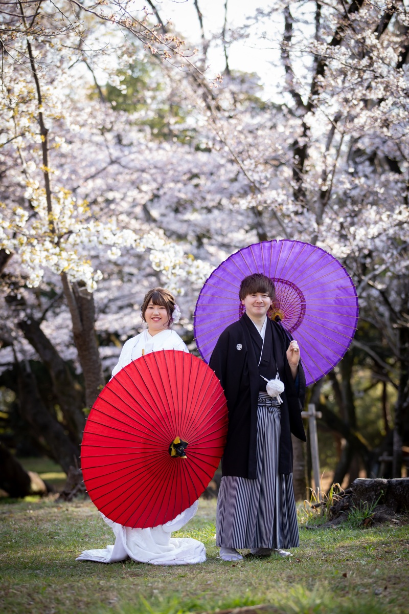 【護国神社】ソメイヨシノが咲いています❀