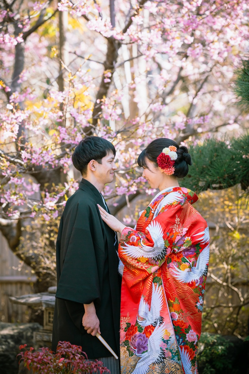 河津桜が咲き始めました❀