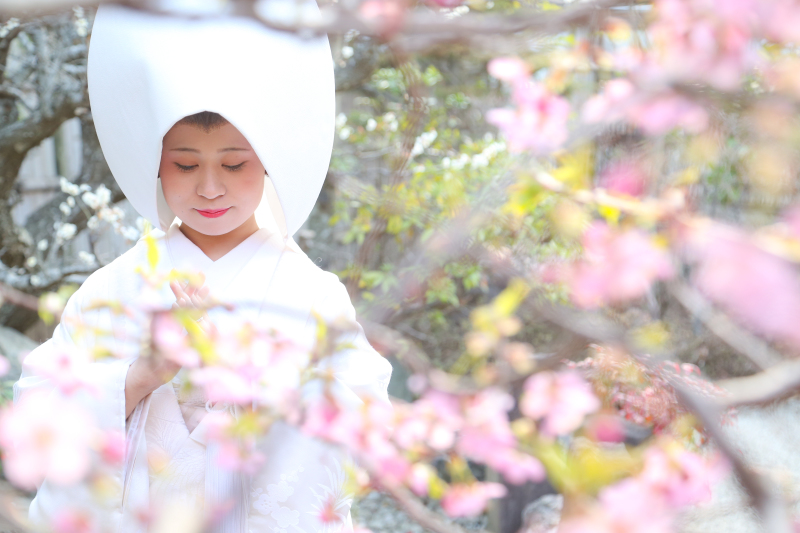 河津桜なら3月上旬の予約がオススメ✨