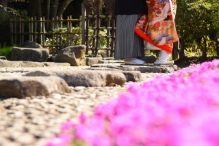 《見浜園》ピンクの絨毯！芝桜❤