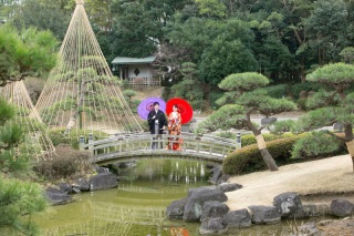 1月の写真ってどんな感じ？