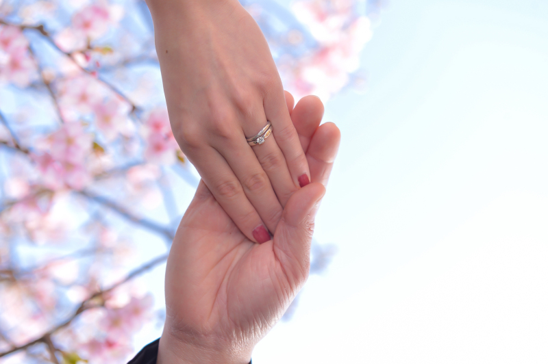 《四季亭》河津桜開花しました❁
