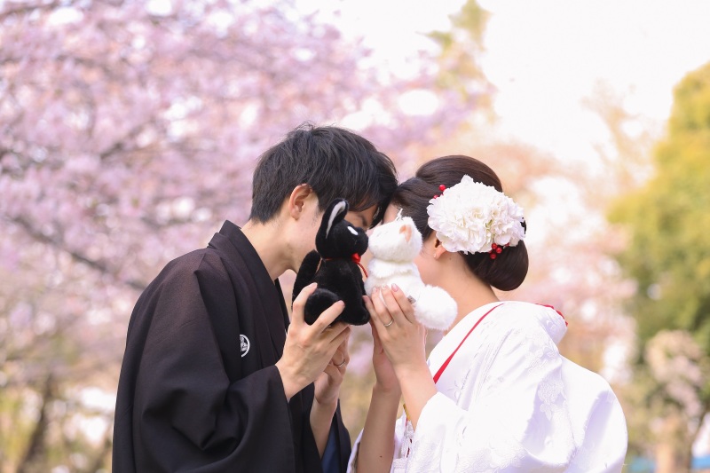 【護国神社】本日の桜の様子❀