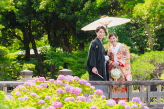 【あじさい】2024年！千葉店のあじさいphotoをご紹介✿♡