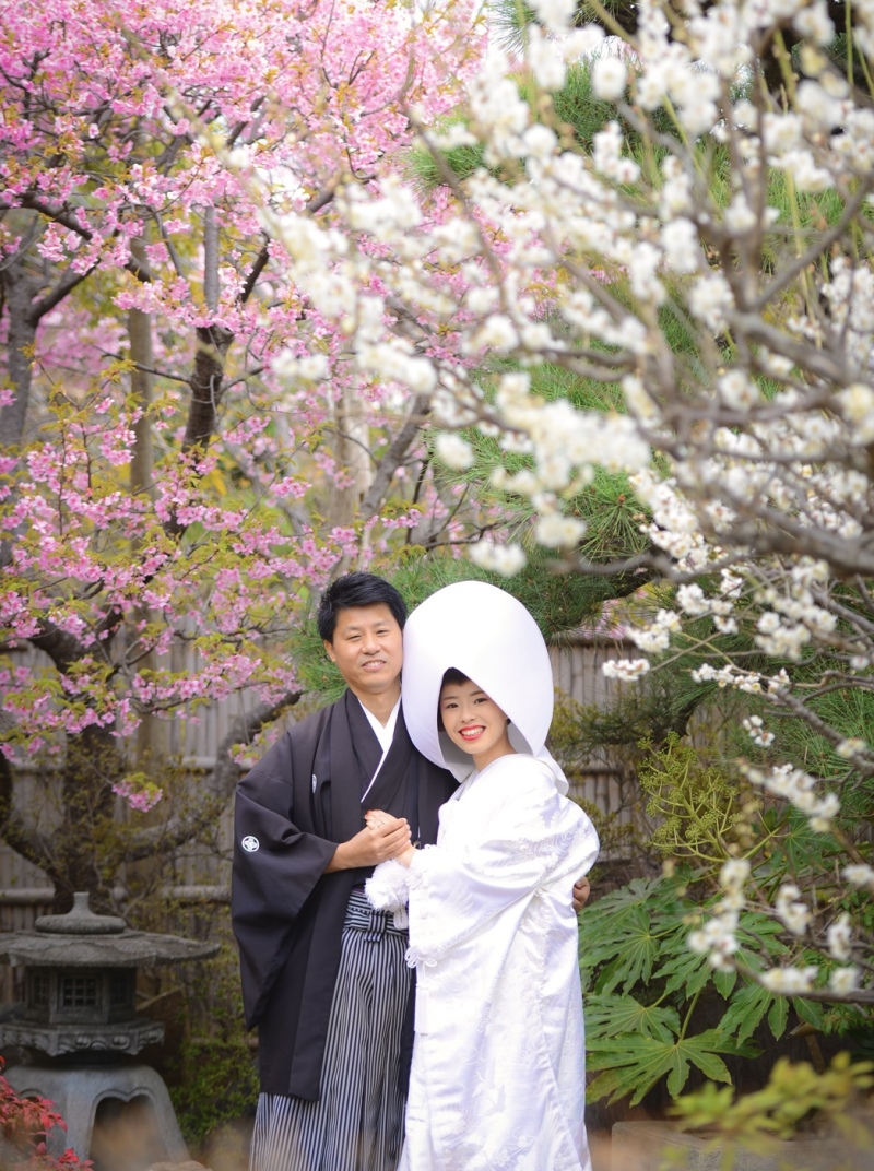 河津桜の開花について
