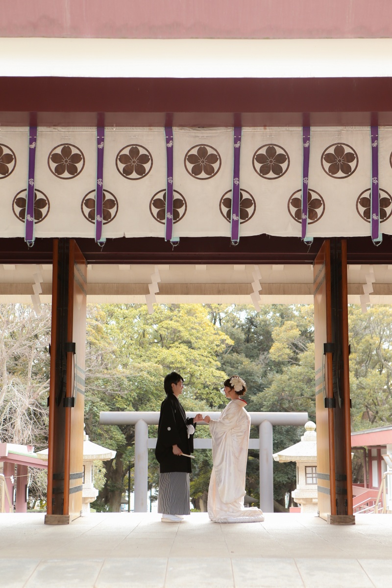 冬の緑のご紹介♪【護国神社】