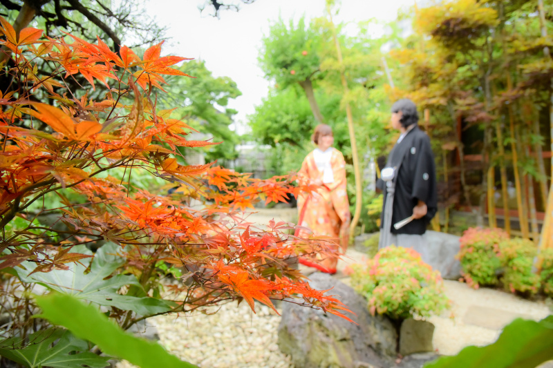 紅葉