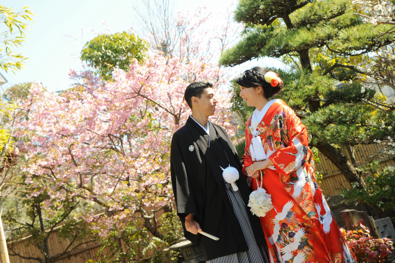 河津桜が満開　