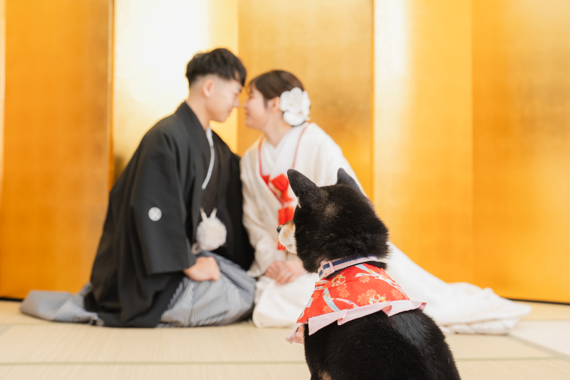 ワンちゃん撮影♡
