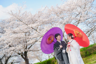 【桜フォト】今年の桜はこんな風に撮れました！❀