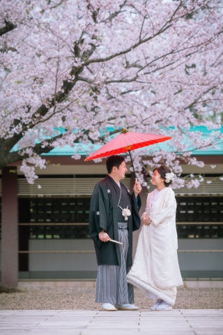 3/28の桜の様子です❀